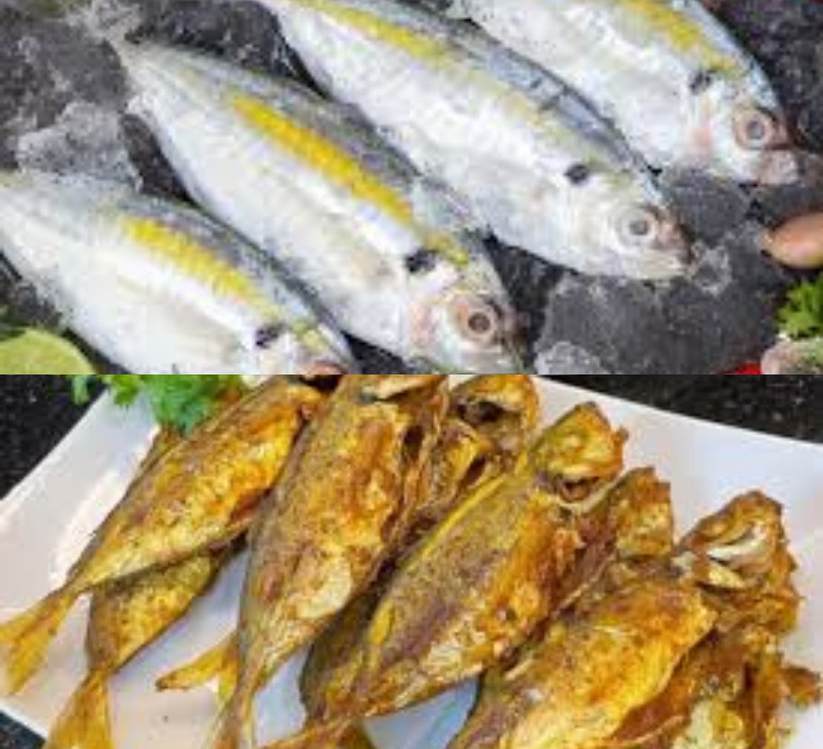 Rahasia Ikan Segar dari Gerilya Jaya: Nikmati Kelezatan Laut Cilacap
